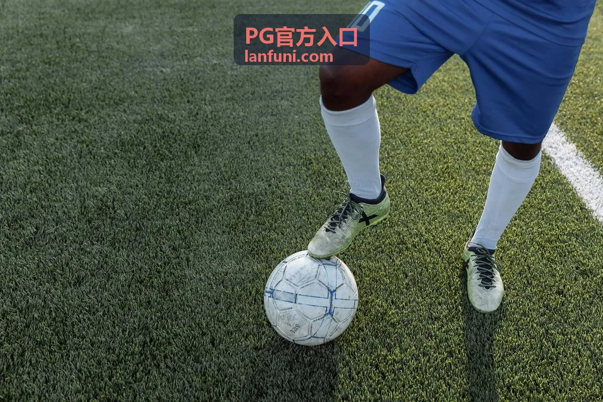 PG官方入口专区通道导航封面图